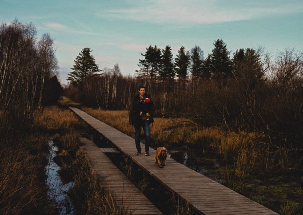 balade avec chien